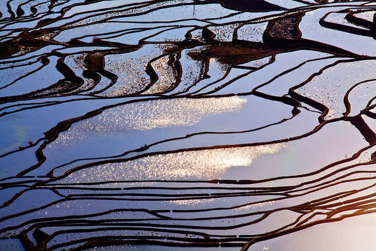 Morning at the rice terraces