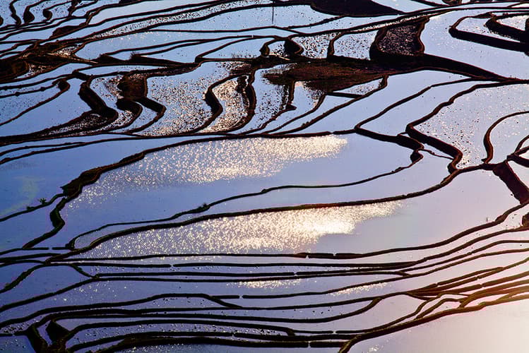 Morning at the rice terraces