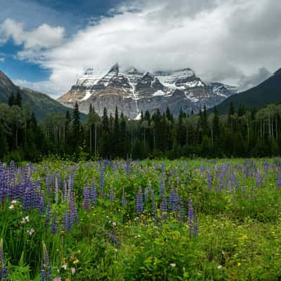 Mount Robson view from visitors centre, Canada