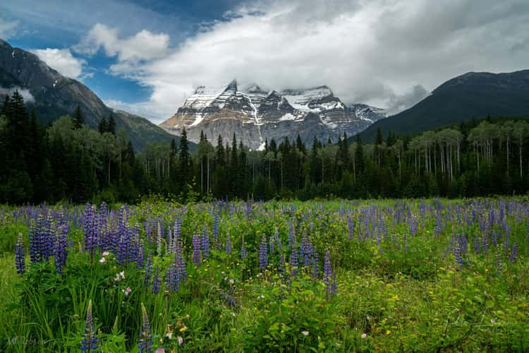 Mount Robson view from visitors centre