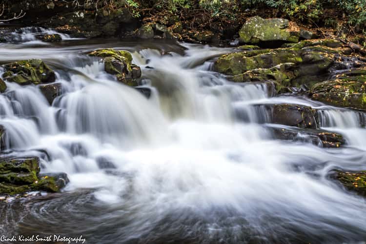 Nantahalla National Forest