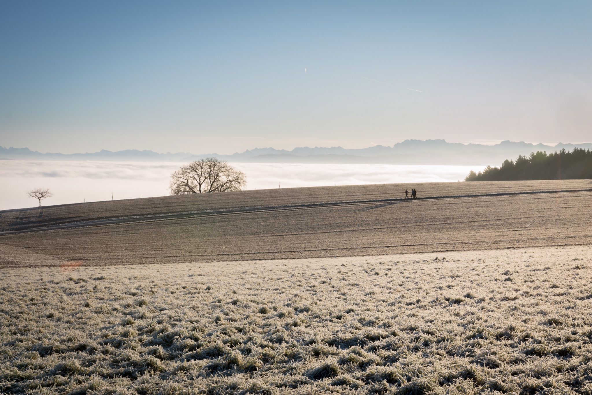 New Years resolution, Switzerland