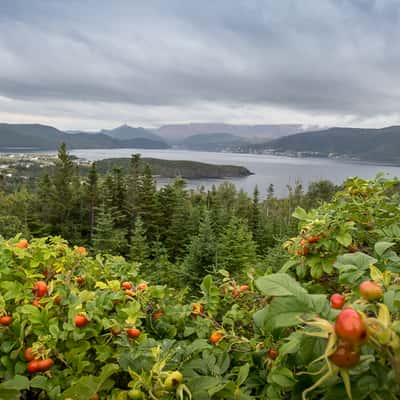 Norris Point, Canada