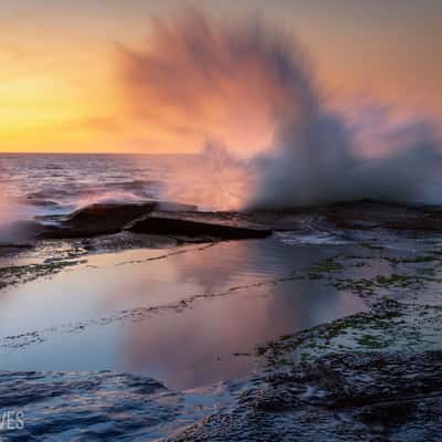 North Curl Curl Rockpool, Australia