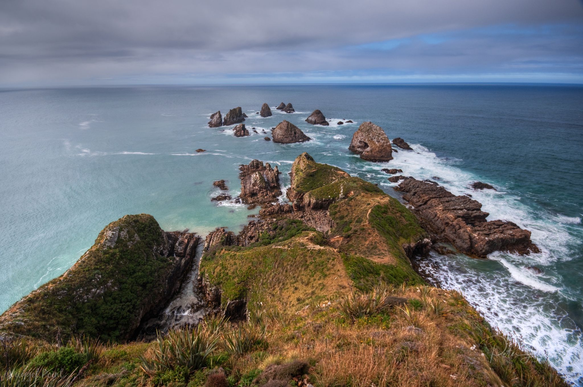 Nugget Point, New Zealand