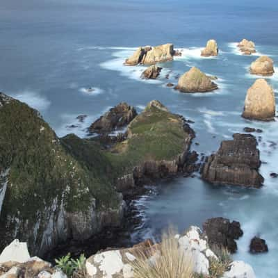 Nugget Point, New Zealand