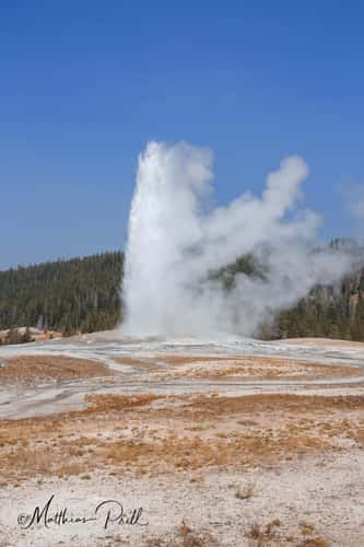 Old Faithful