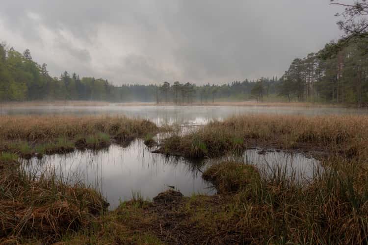 Ostersee small lake