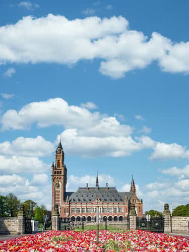 Peace Palace