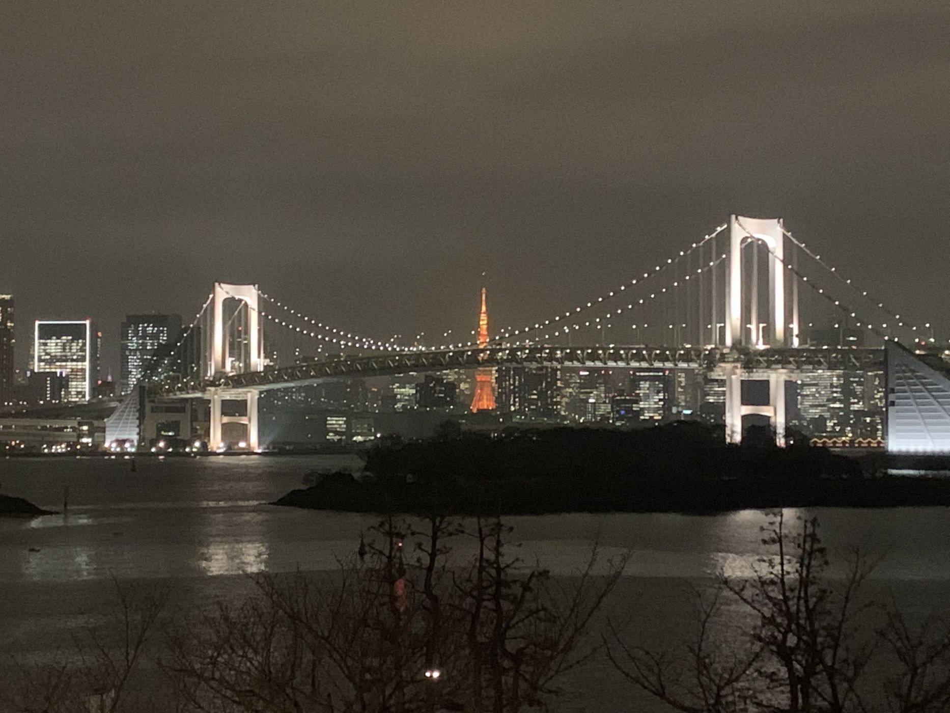 Rainbow Bridge from Odaiba, Japan