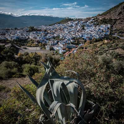 Road to Mosquée, Chefchaouen, Morocco