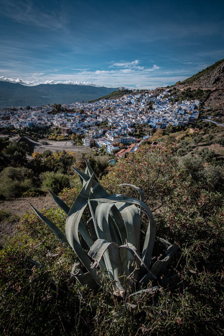 Road to Mosquée, Chefchaouen, Morocco