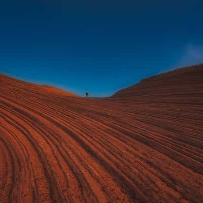 Snow Canyon, USA