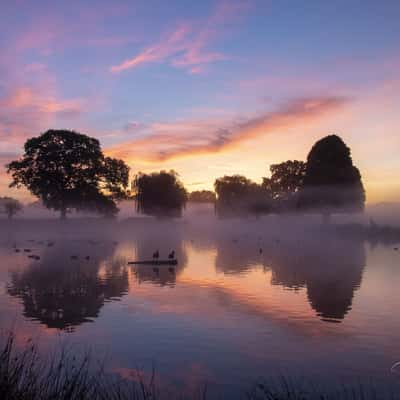 The Boating Pool, Bushy Park, United Kingdom