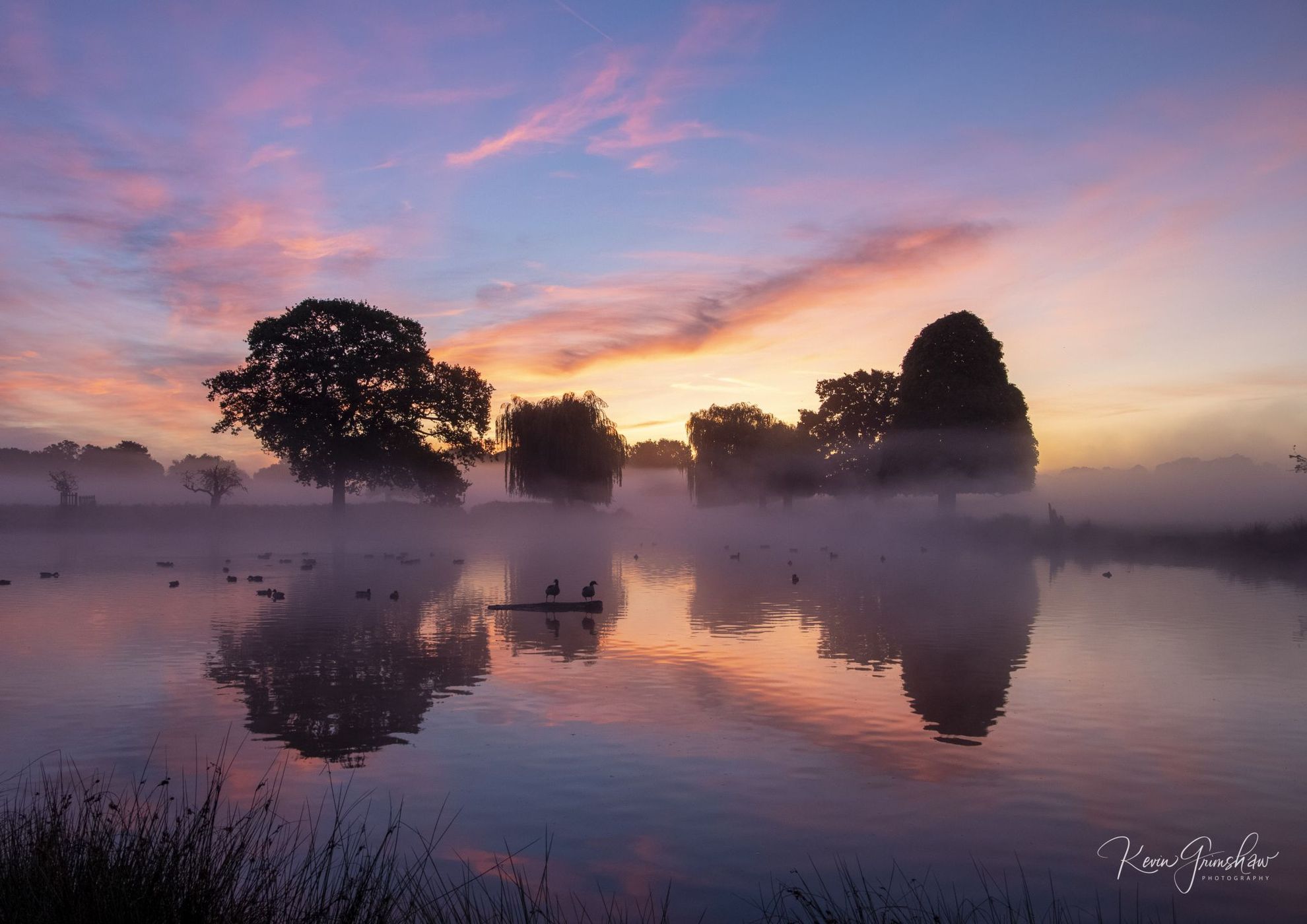 The Boating Pool, Bushy Park, United Kingdom