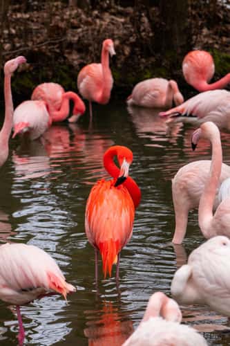 Tierpark Hellabrunn