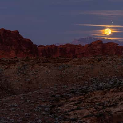 Valley of Fire - Petrified Logs Loop, USA