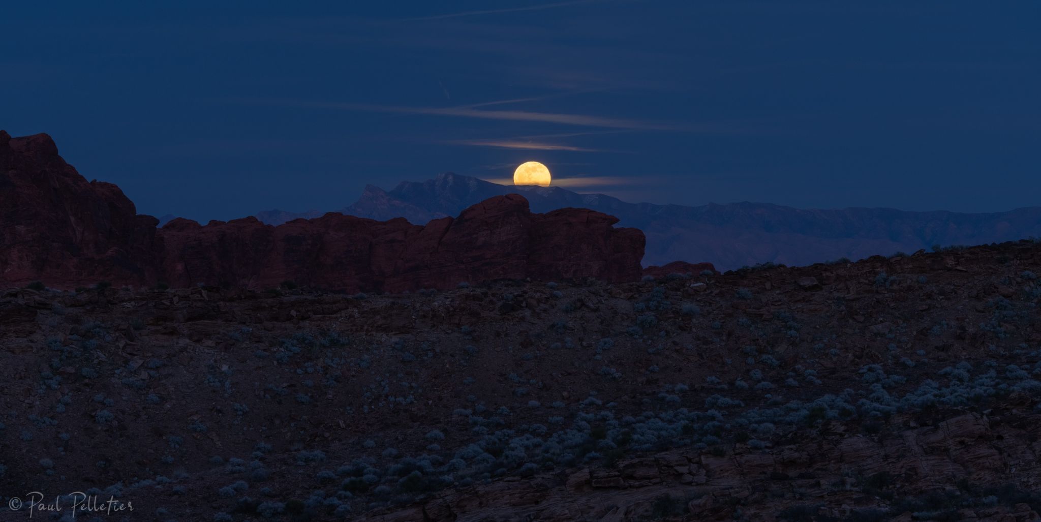 Valley of Fire - Petrified Logs Loop, USA