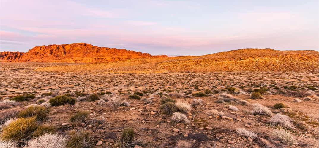 Valley of Fire - Petrified Logs Loop