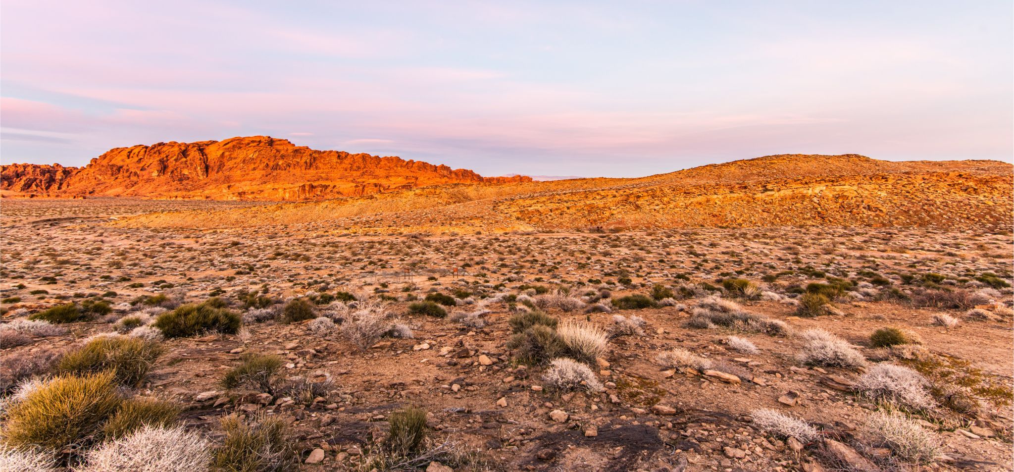 Valley of Fire - Petrified Logs Loop, USA