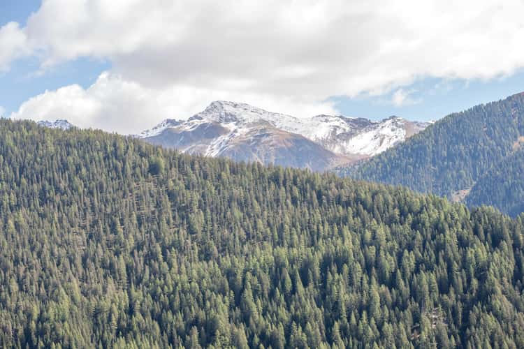 Wiesener Alp