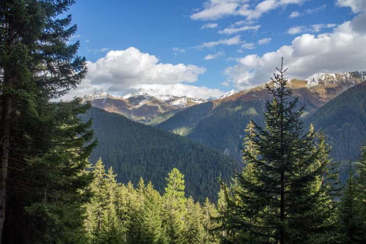 Wiesener Alp