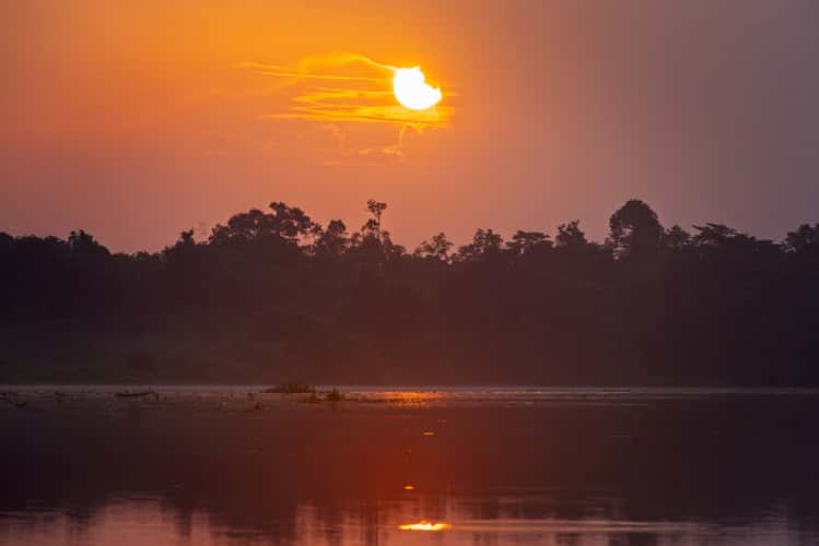 Abai Jungle Lodge