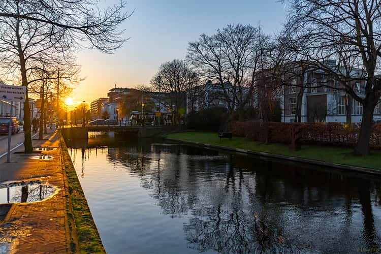 Alexanderstraat