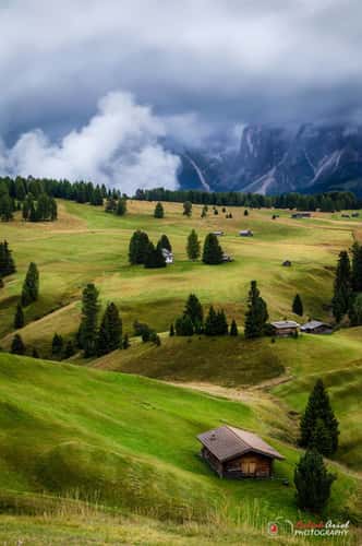 Alpe di Siusi