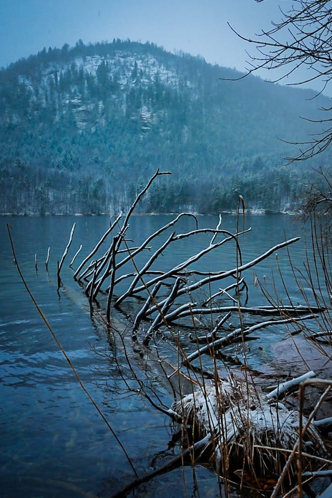 Alpsee Hohenschwangau, Germany