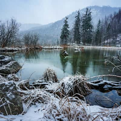 Alpsee Hohenschwangau, Germany