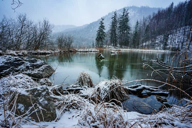 Alpsee Hohenschwangau