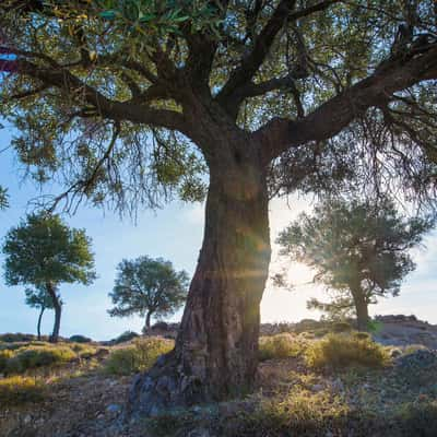 Archangelos, Greece