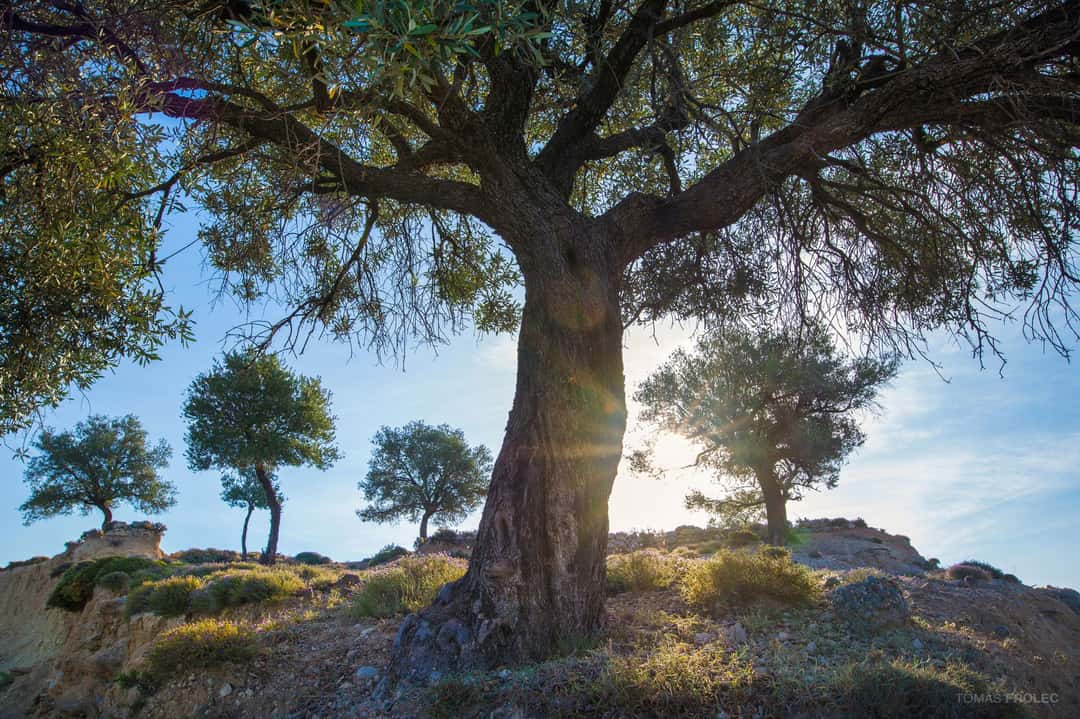 Top 54 Photo Spots on Rhodes in 2026