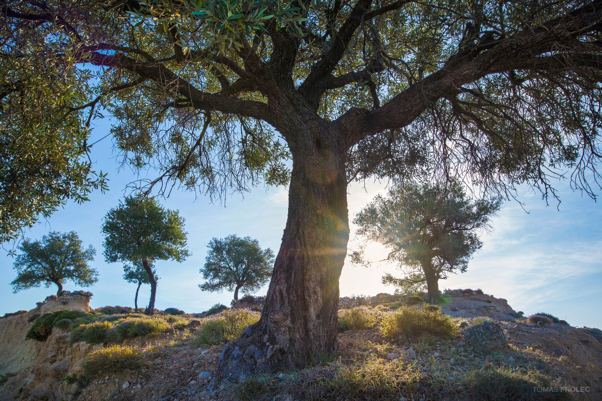 Archangelos, Greece