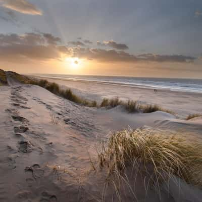 Beach and sand dunes at Wassenaar (Meijendel), Netherlands