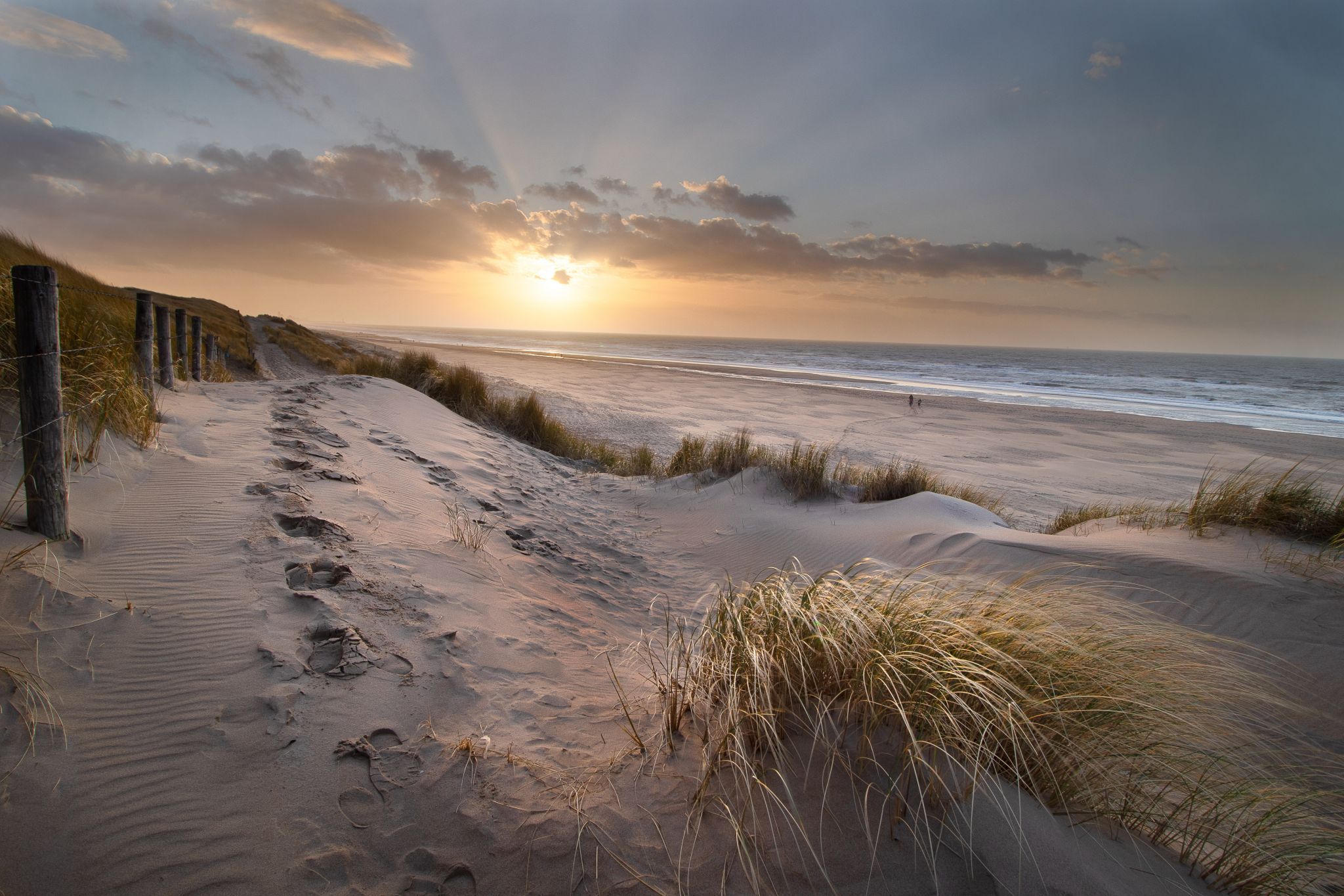 Beach and sand dunes at Wassenaar (Meijendel), Netherlands