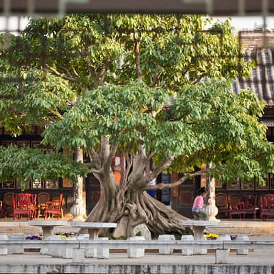 Blick aus dem Fenster, China