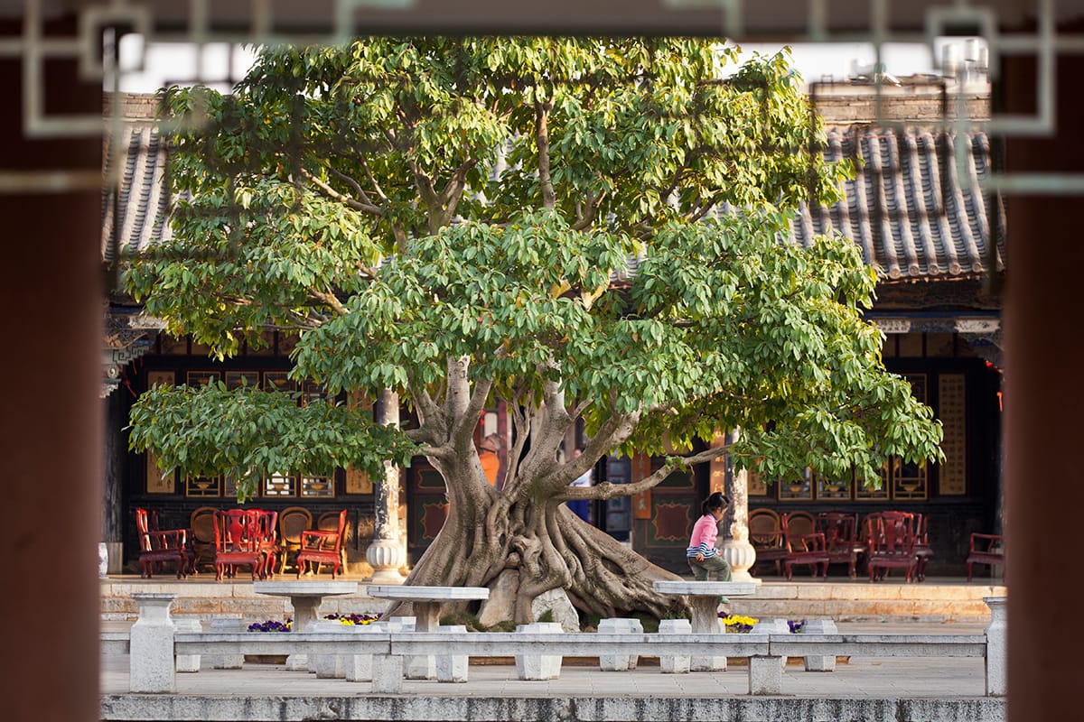 Blick aus dem Fenster, China