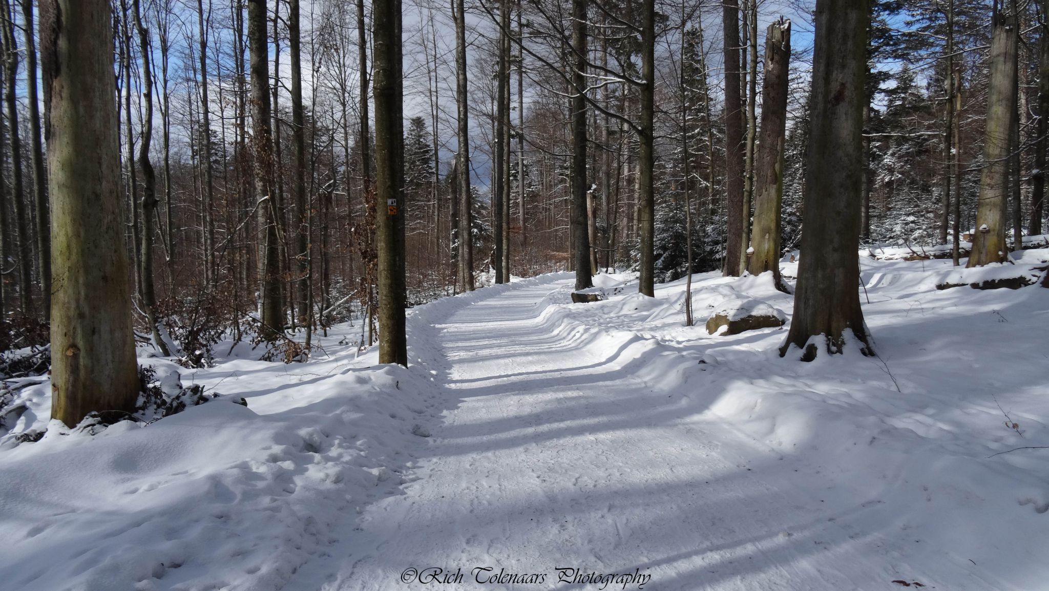 Bohemian forest, Germany