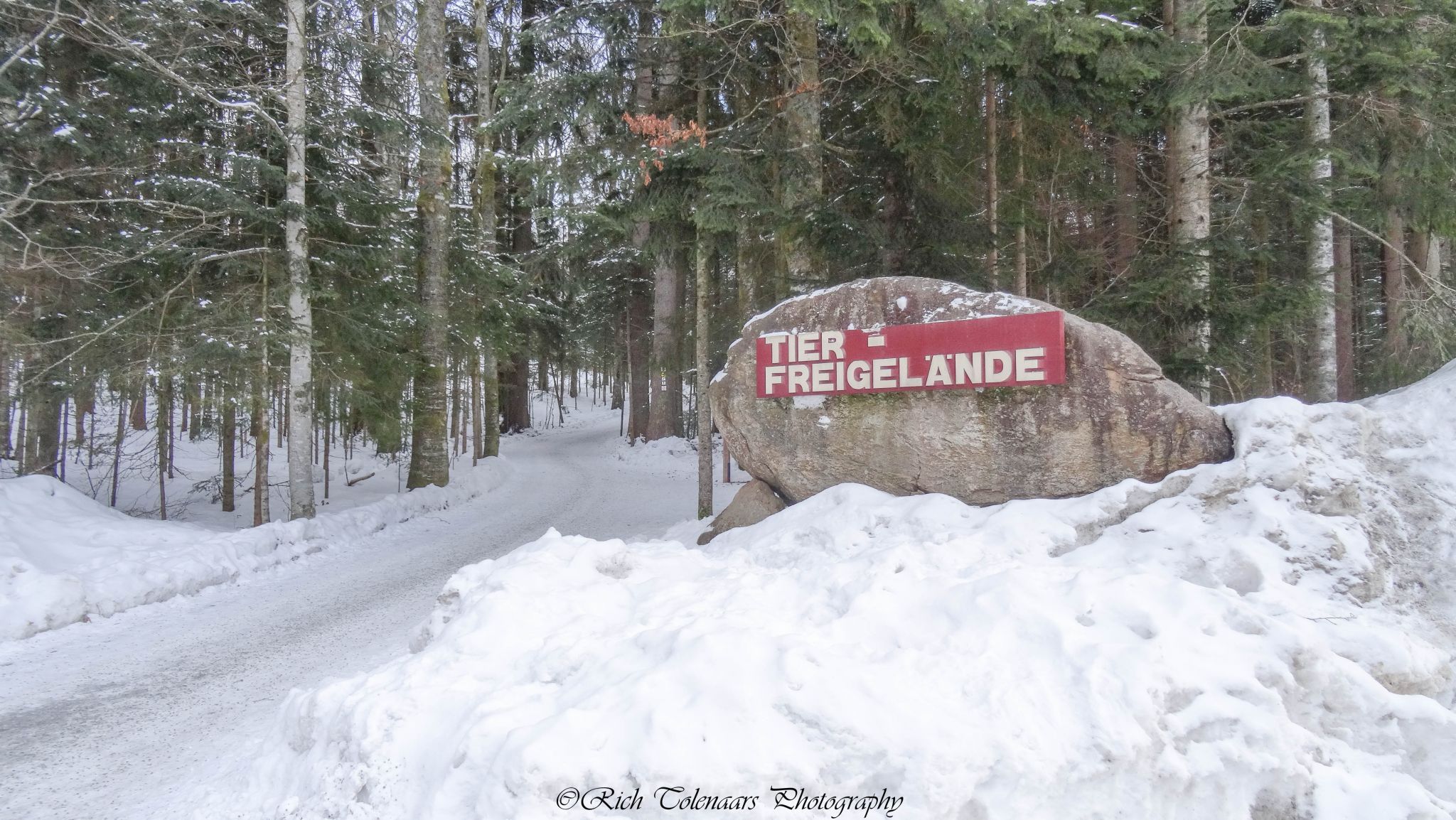Bohemian forest, Germany