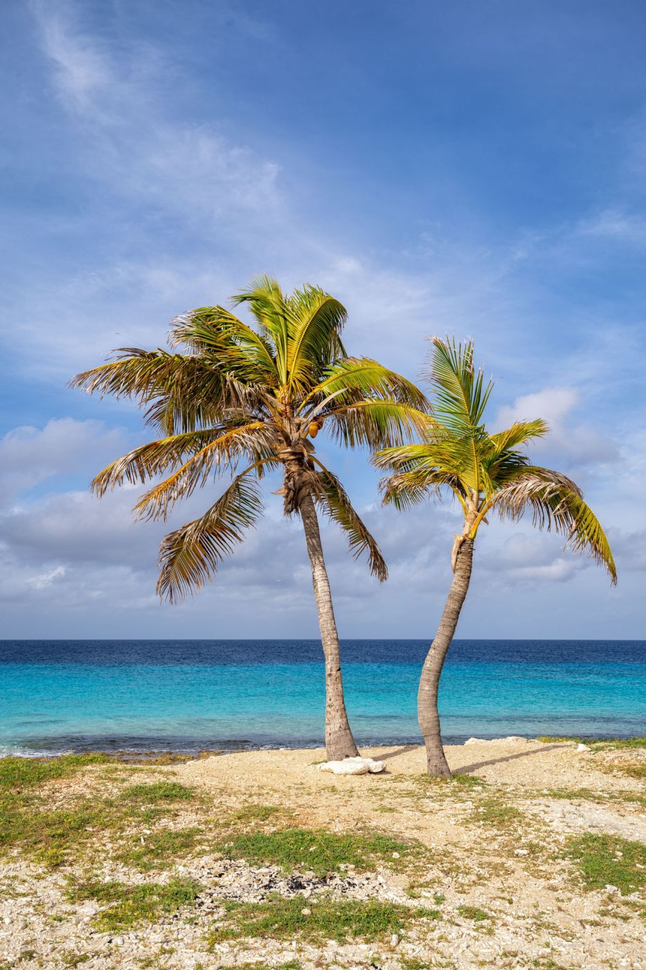 Caribbean colors on Bonaire, Bonaire