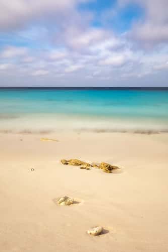 Caribbean colors on Bonaire