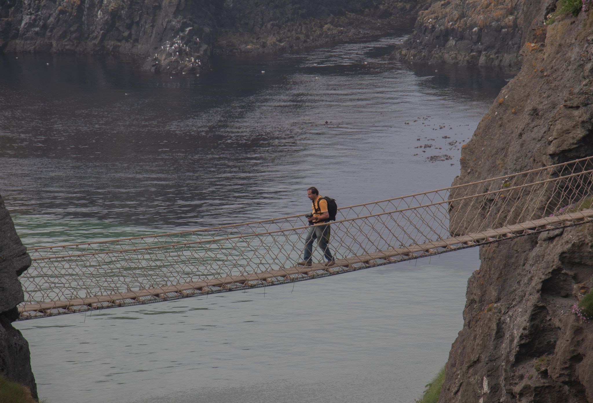 Carrick-a-Rede rope bridge, United Kingdom