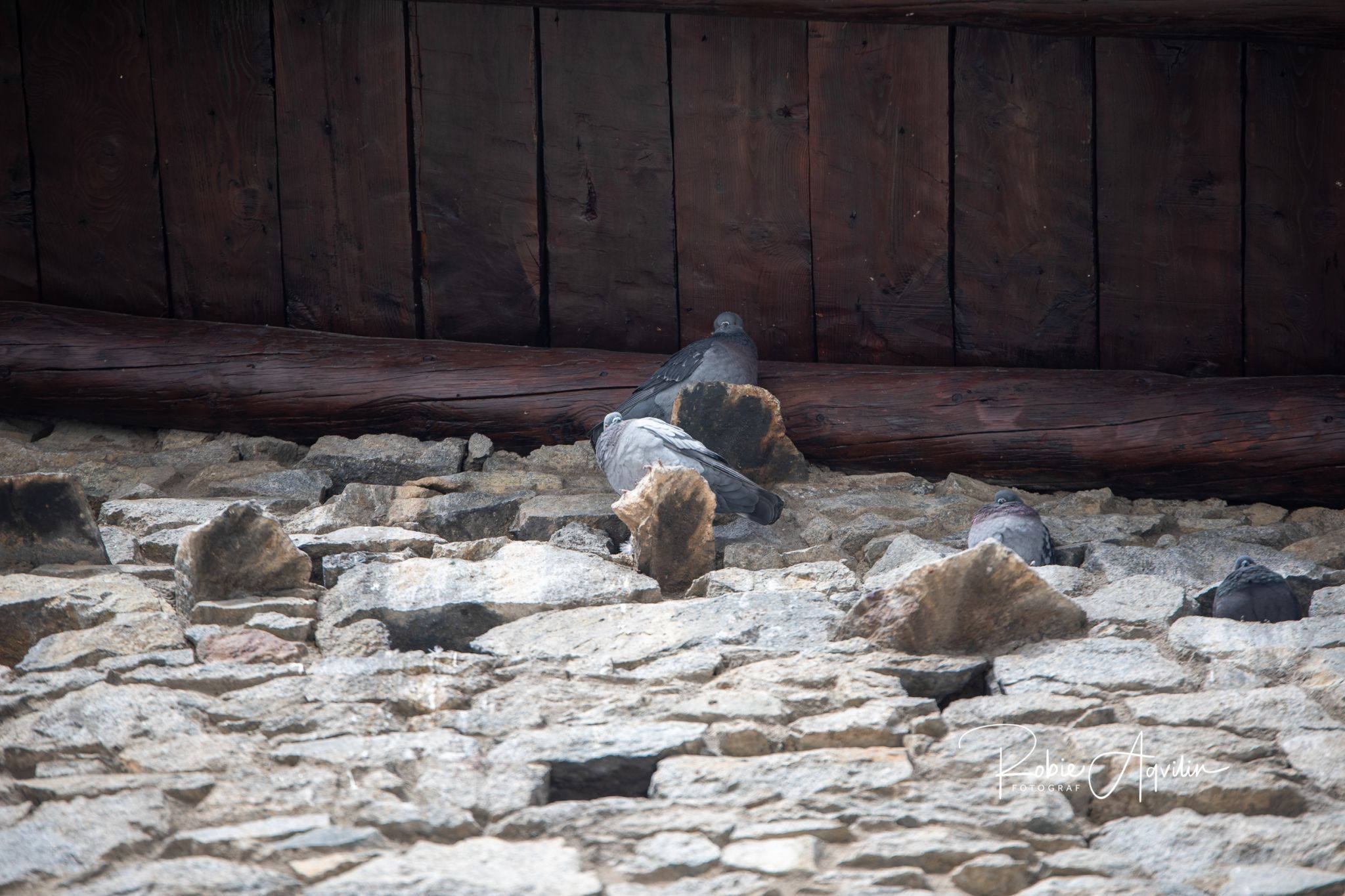 Casa de la Vall, Andorra
