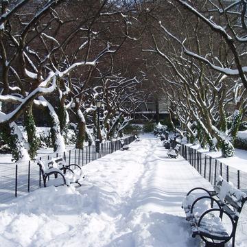 Central Park in Snow New York, USA