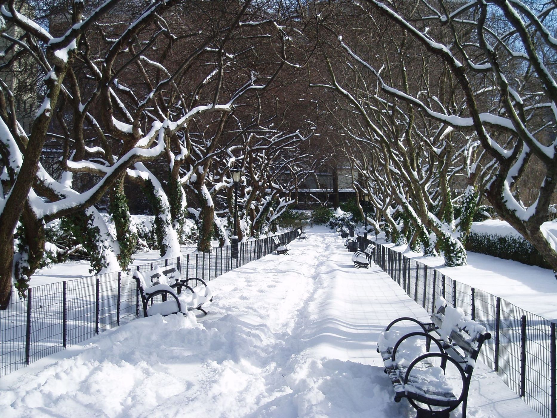 Central Park in Snow New York, USA