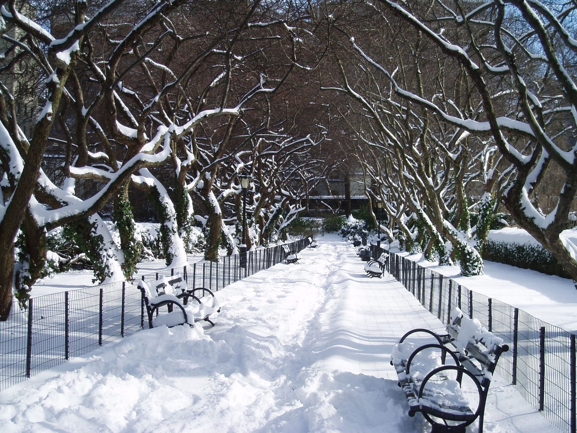 Central Park in Snow New York, USA Central Park in Snow New York, USA
