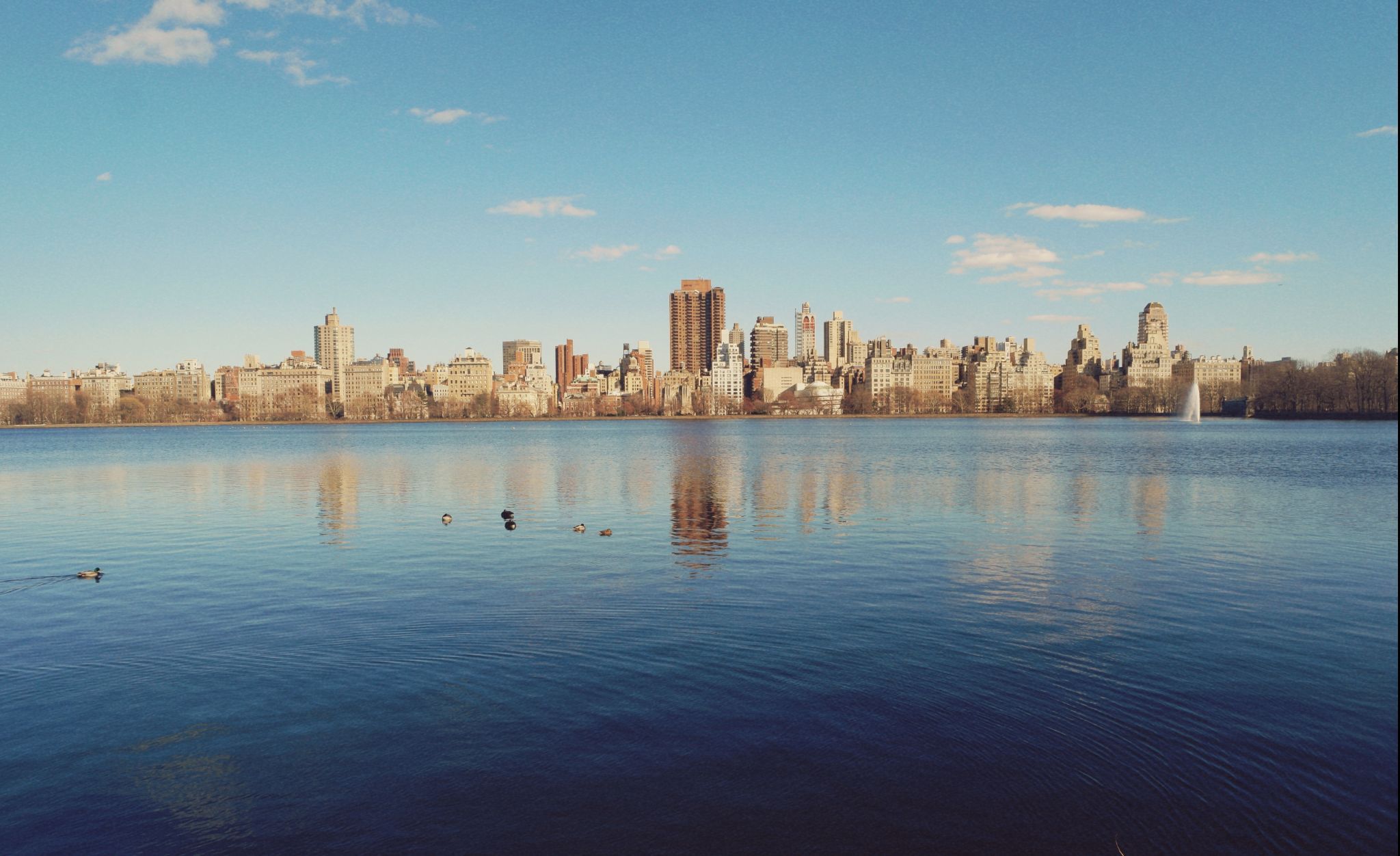 Central Park, NYC, USA