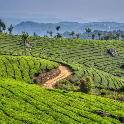 Chitirapuram, India